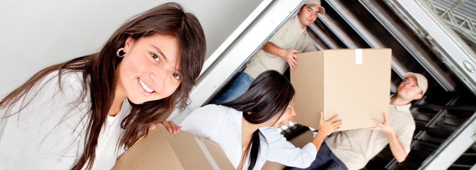 Professional Removalists Rangeview